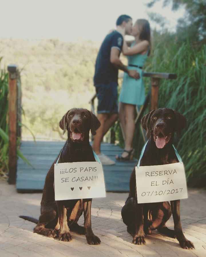 Cartel perritos - 1