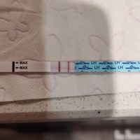 Ni regla ni test positivo. No entiendo nada!!! - 1