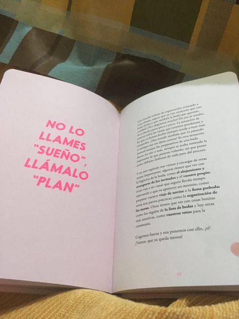 El acompañante de toda novia que se precie “la agenda de nuestra Boda” - 6