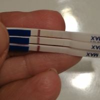 Positivo o línea de evaporacion? - 1