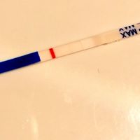 Positivo o línea de evaporacion? - 1