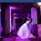 Macarena