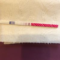 buscadoras de junio 2020🍀🍀 - 1