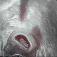 Ayuda con método ramzi: niño o niña? - 1