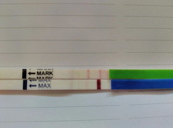 Chicas necesito opiniones,estoy a varios días de mi fnw. Me he hecho un test de ovulación y salía ta