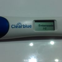 Hola chicas!!Esta mañana me hice el clear blue y aparecieron las palabritas maravillosas!!Contaros u