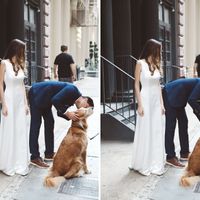 Fotos "postboda"