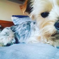Esta invitad@... ¡SÍ QUE VALE! - 1