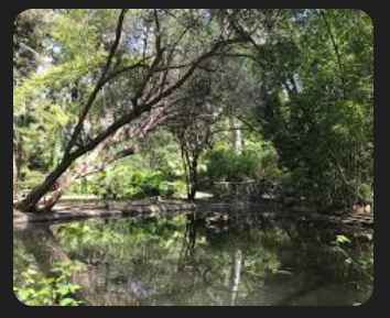 Perfume de novia: ¿me ayudáis a elegir el aroma perfecto de cuento de hadas? - 5