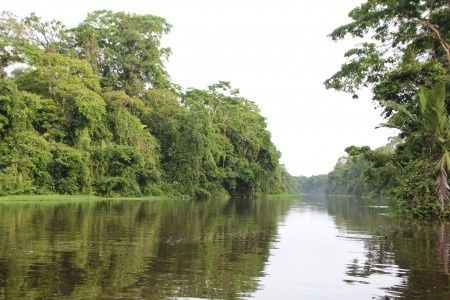 Tortuguero
