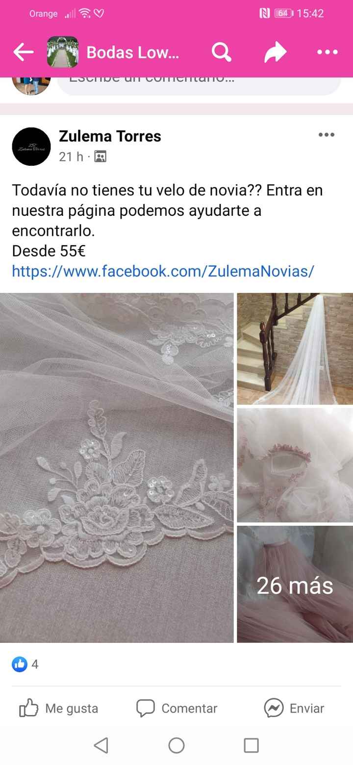 Velos económicos!!! - 1