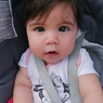 Isabel