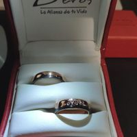 ¿De qué color serán vuestras alianzas? - 1