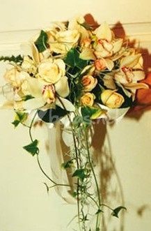 El Gorg Floristeria y Jardineria