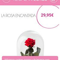 Regalos Madres, cuñadas y hermanas!! - 1