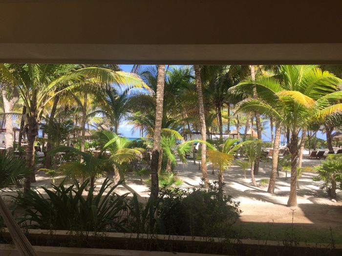 Palladium kantenah o white sand (ambos mayan suites) - 1