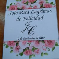 Lágrimas de felicidad - 1