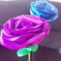Rosas