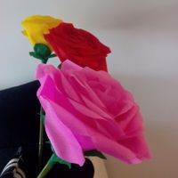 Rosas