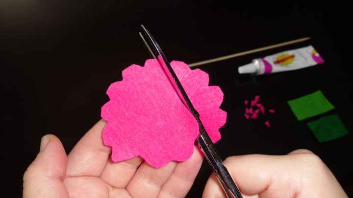 Flores2