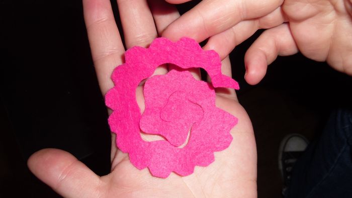 Flores3