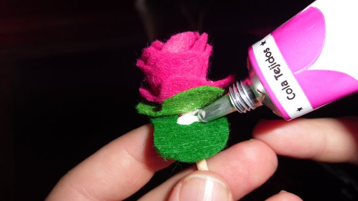 Flores6