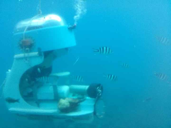 Subscooter en Mauricio