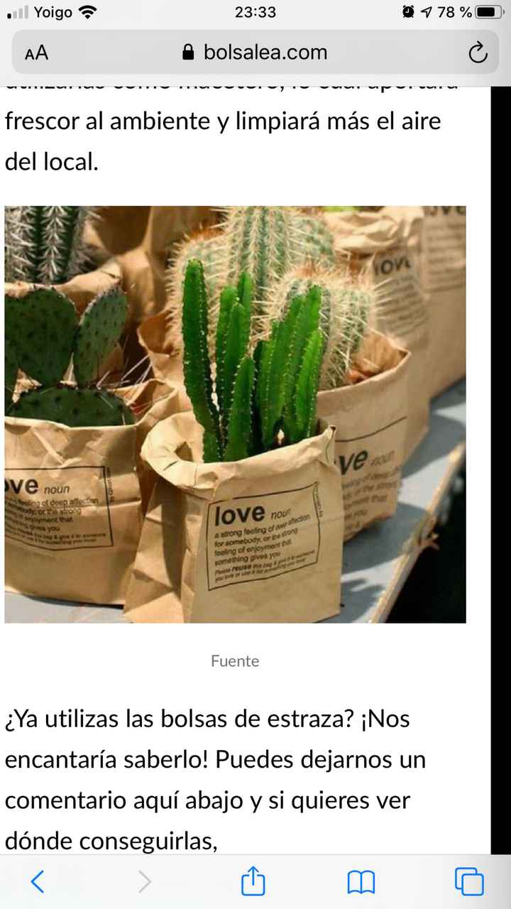 Bolsas papel para regalar plantas - 1