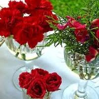 Copa y Rosas