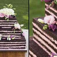 Torta B