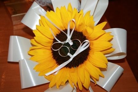Girasol alianzas
