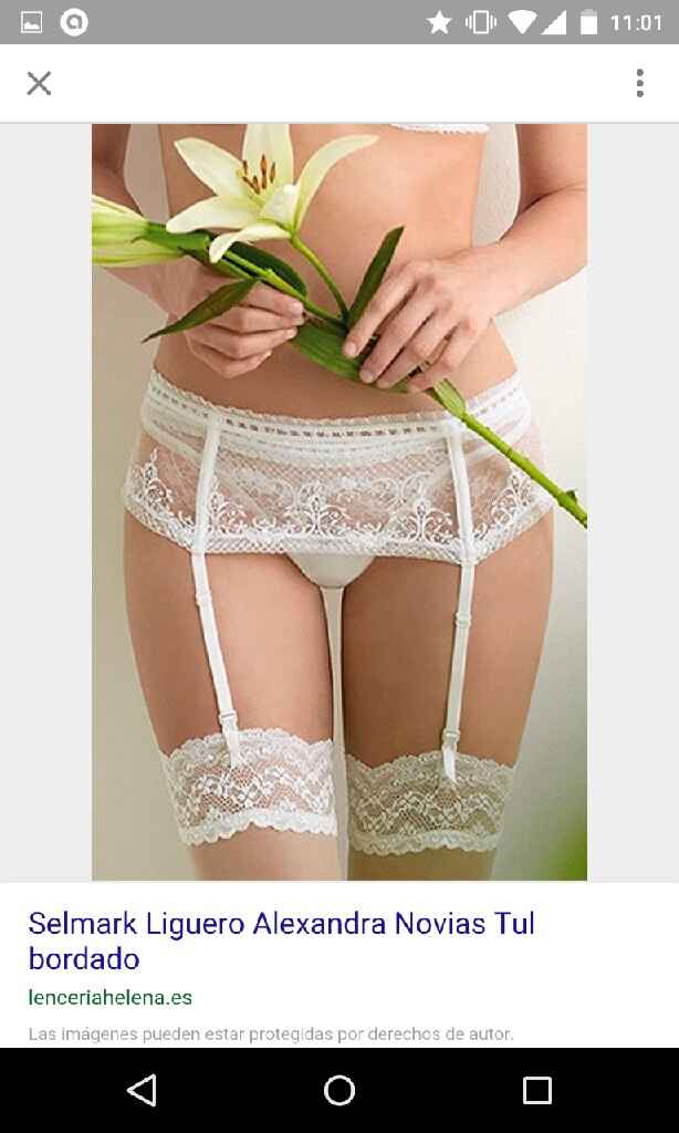 Braga/culote con liguero - 1