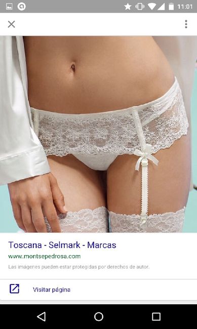 Braga/culote con liguero - 2