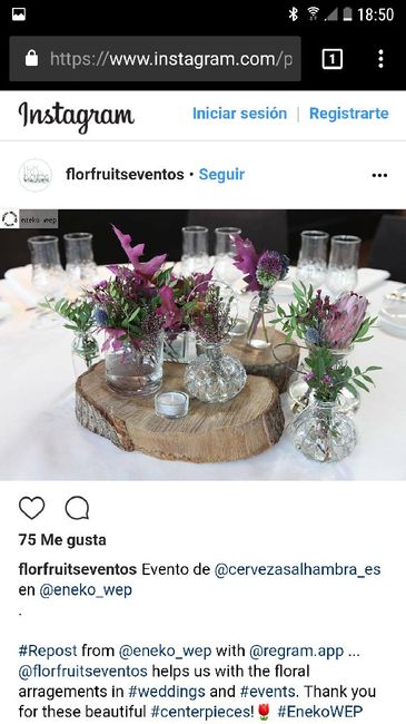 Botes y vela... - 3