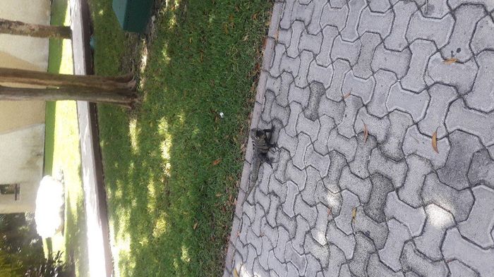 New York - Riviera Maya - 1
