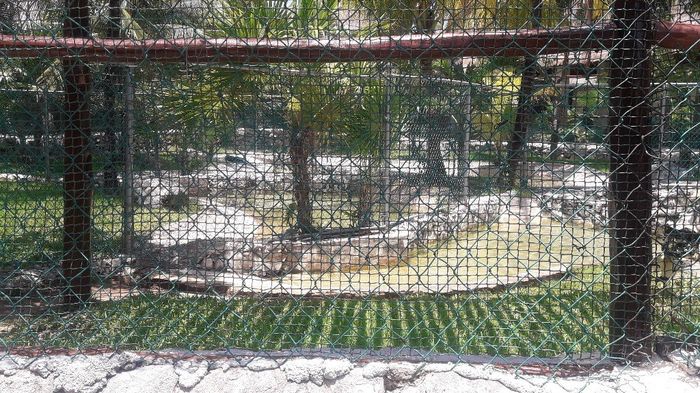 New York - Riviera Maya - 2