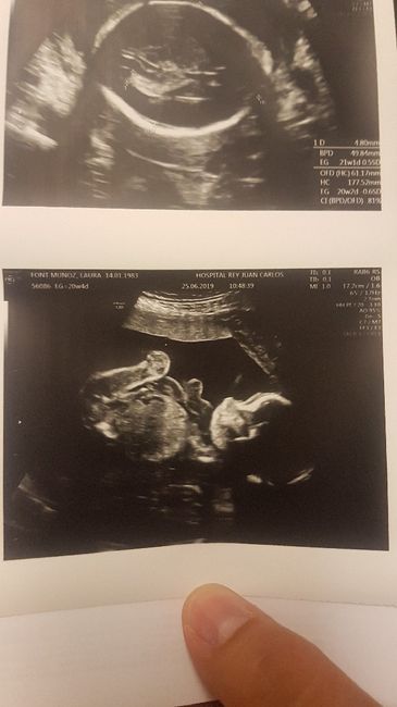 mamis noviembre 2019 oficial - 1