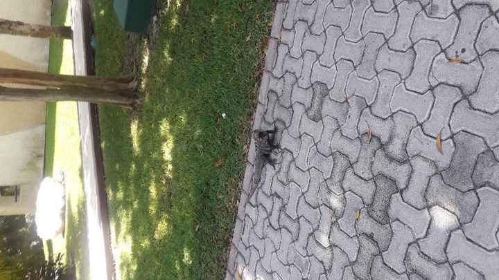 New York - Riviera Maya - 1