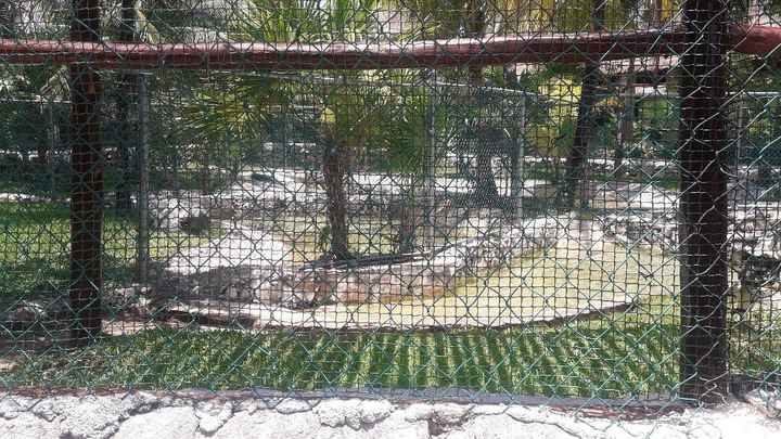 New York - Riviera Maya - 2