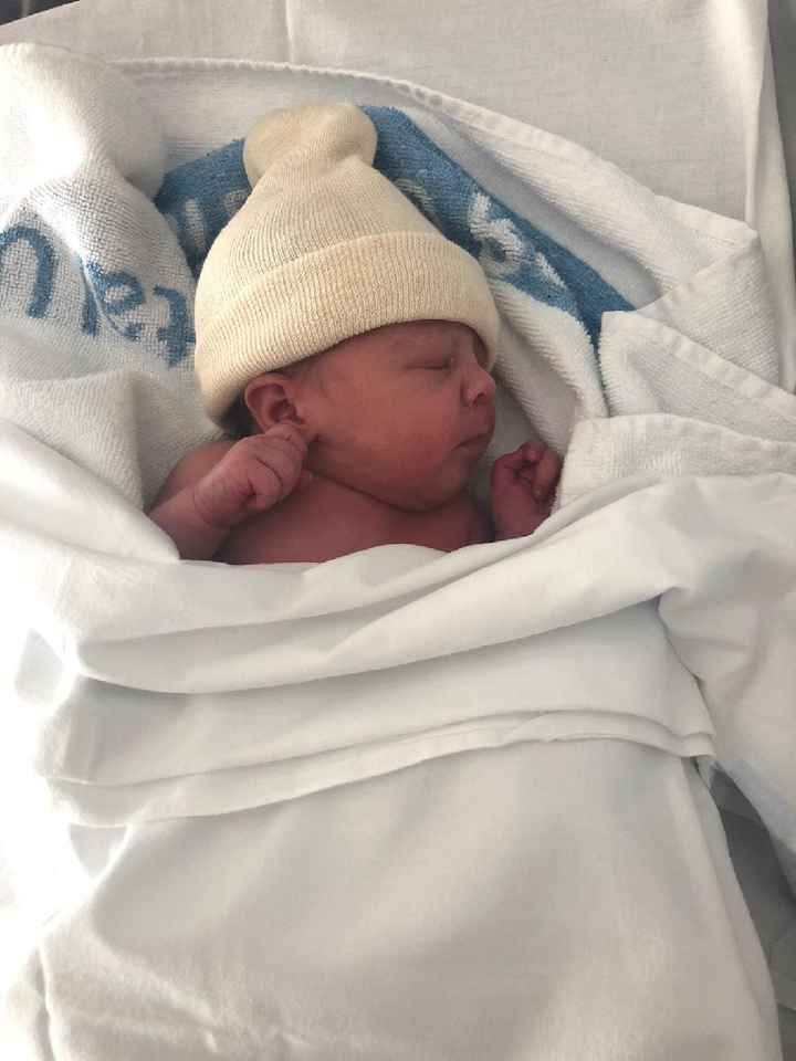 mamis noviembre 2019 oficial - 1