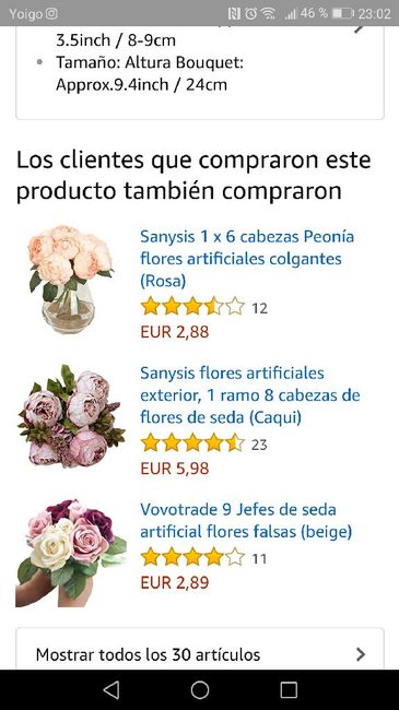  Mi ramo de los chinos - 1