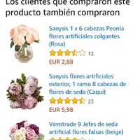  Mi ramo de los chinos - 1
