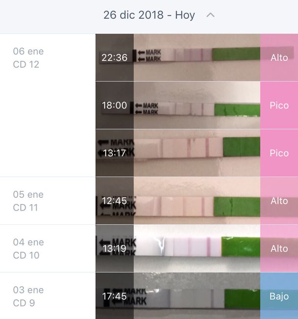 Buscadoras de enero 2019 1