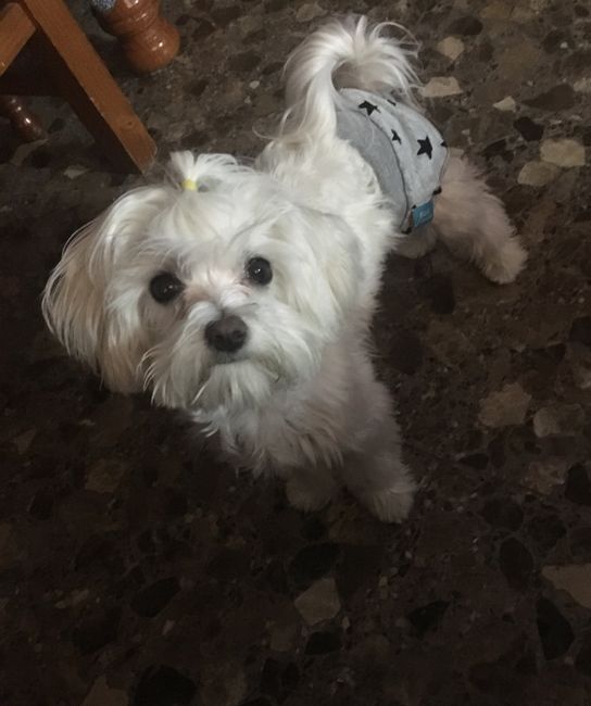 Buscadoras Abril 2019 1