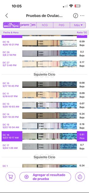 ✨️🤍 Buscadoras Octubre 🤍✨️ 1