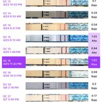 ✨️🤍 Buscadoras Octubre 🤍✨️ - 1