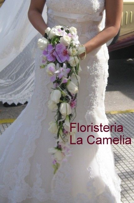 orquídeas
