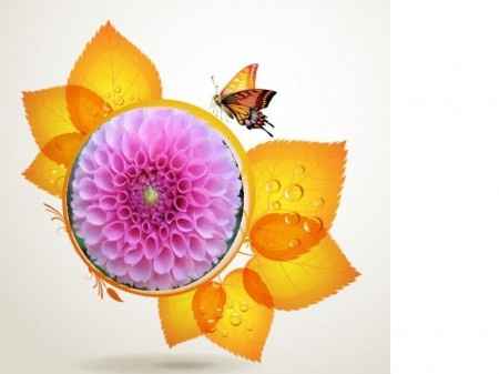 Dalia