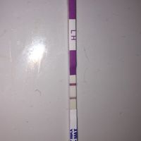Nuevo buscadoras con síndrome de ovario poliquístico (sop) - 1