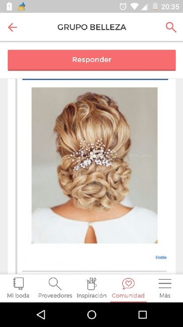 Cuál será tu complemento de pelo?? - 1
